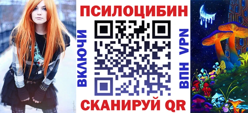 Псилоцибиновые грибы Cubensis Куровское